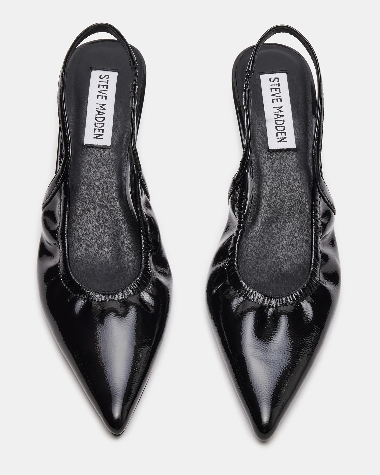 GRACEY BLACK 5 GRACEY BLACK
