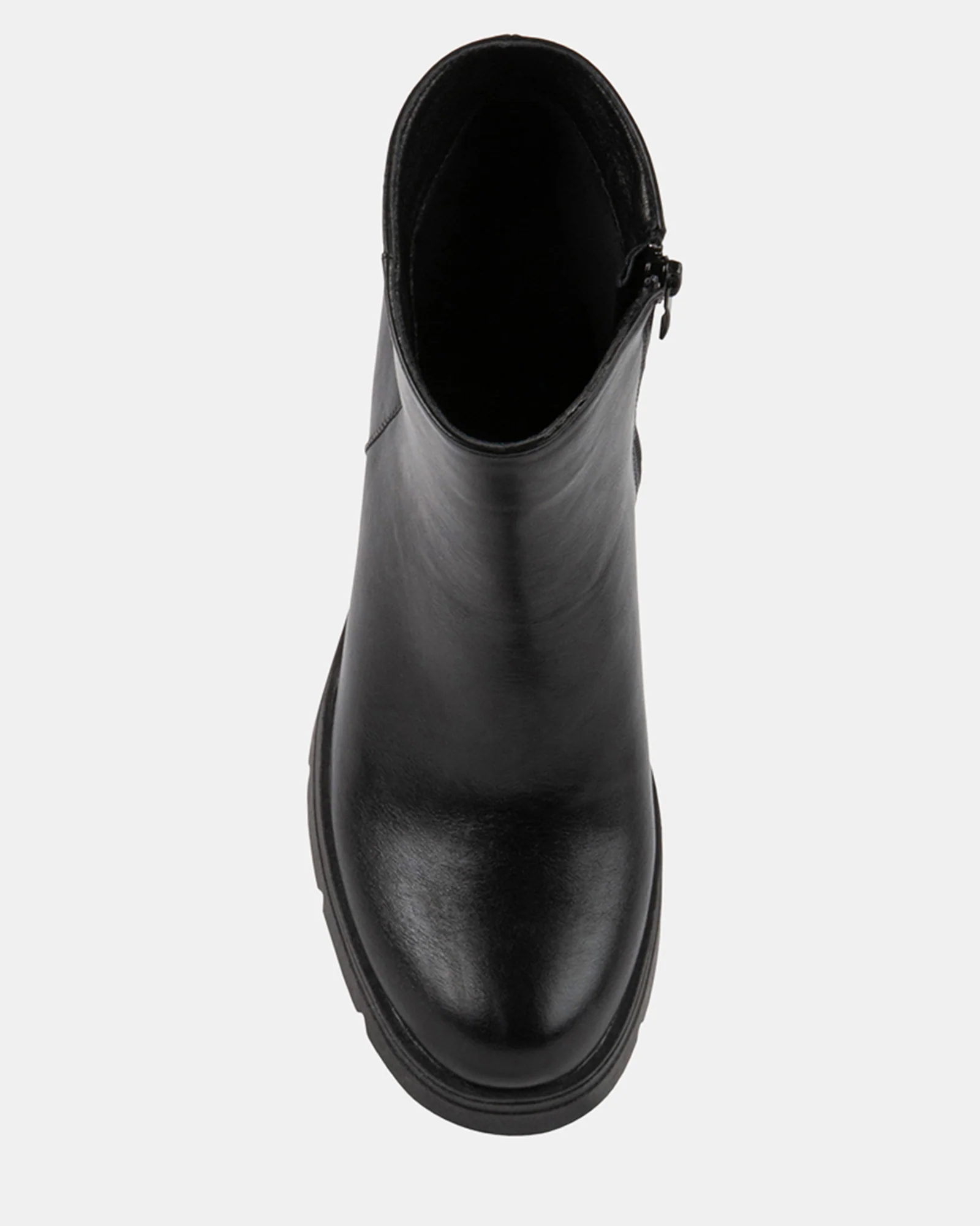 GALLANT BLACK 7 GALLANT BLACK