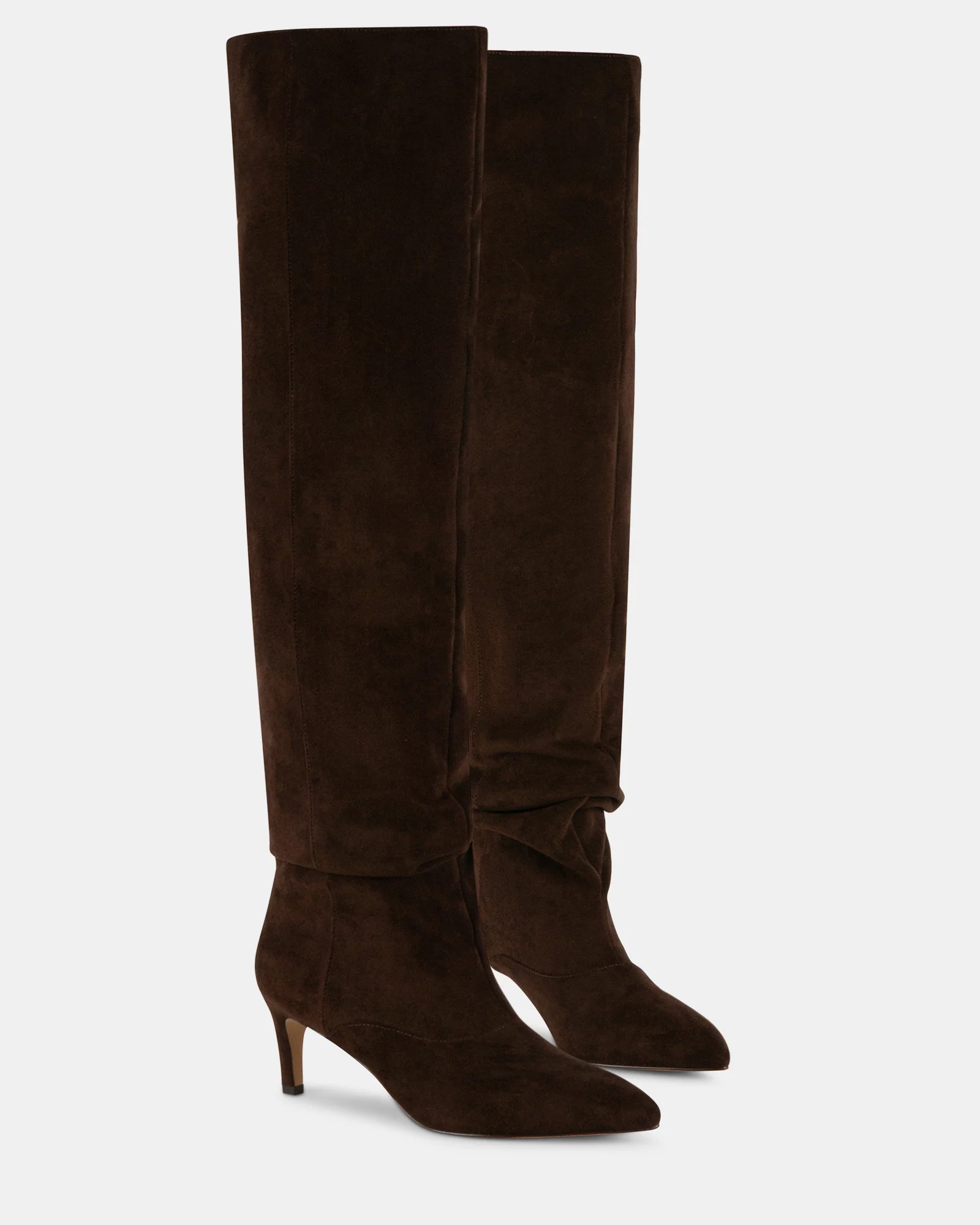 STASSII BROWN 3 STASSII BROWN