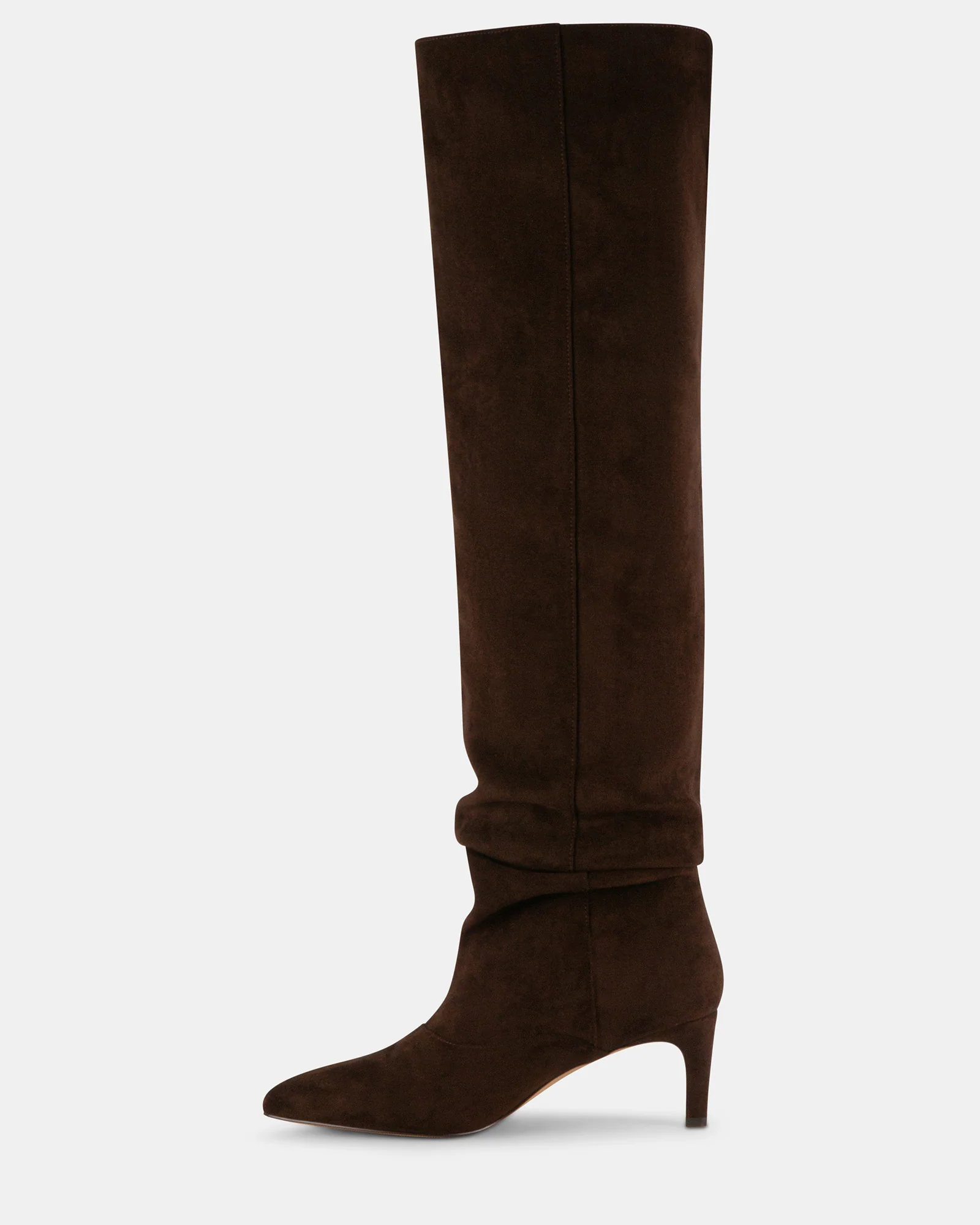 STASSII BROWN 5 STASSII BROWN