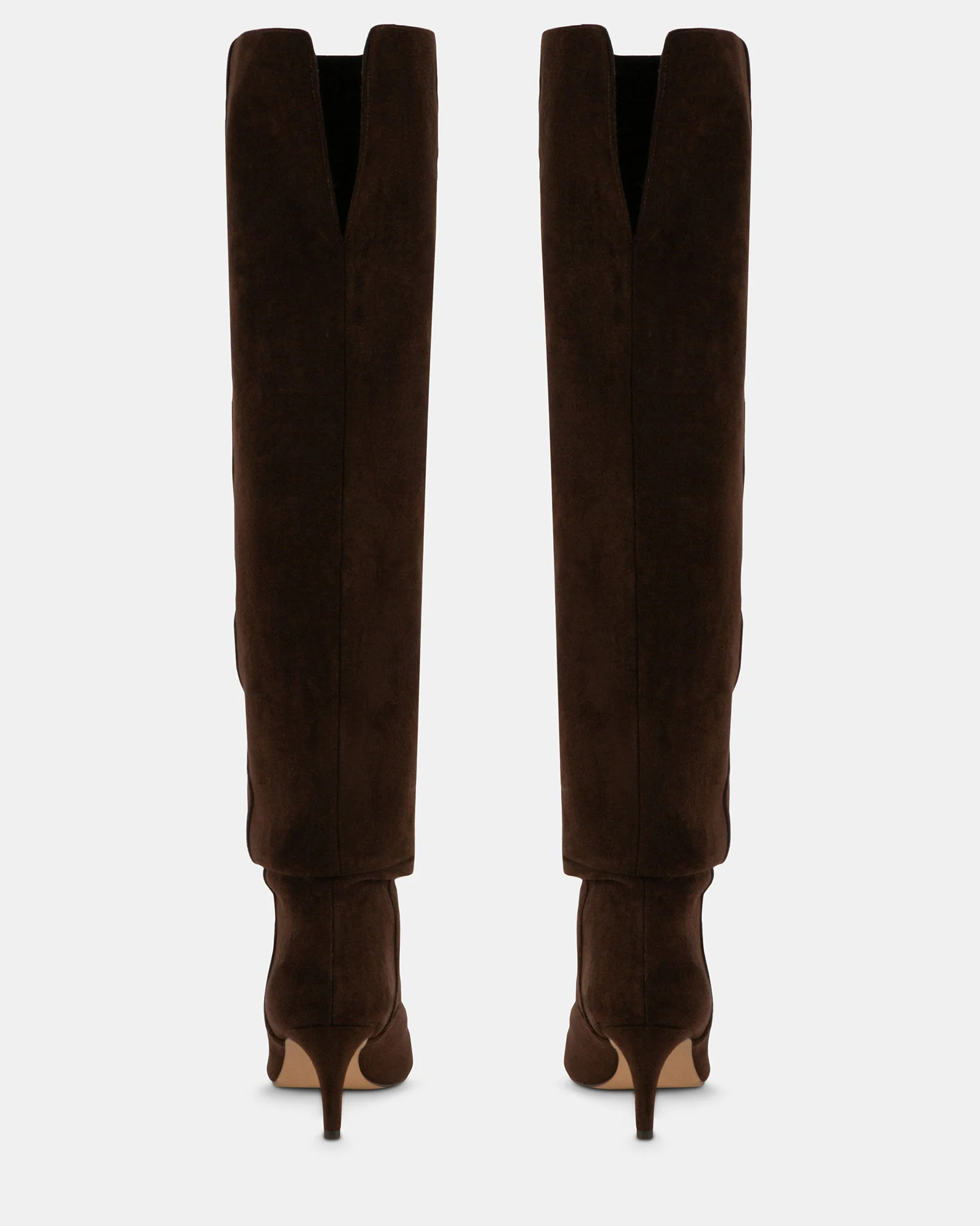 STASSII BROWN 6 STASSII BROWN