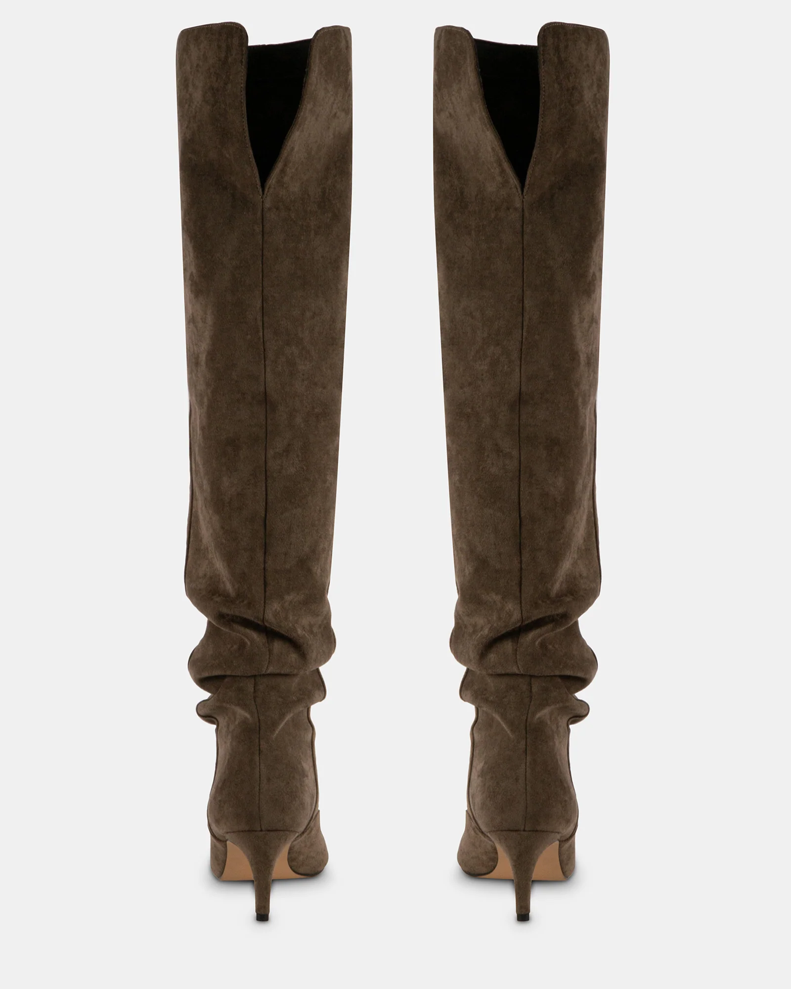 STASSII TAUPE 6 STASSII TAUPE