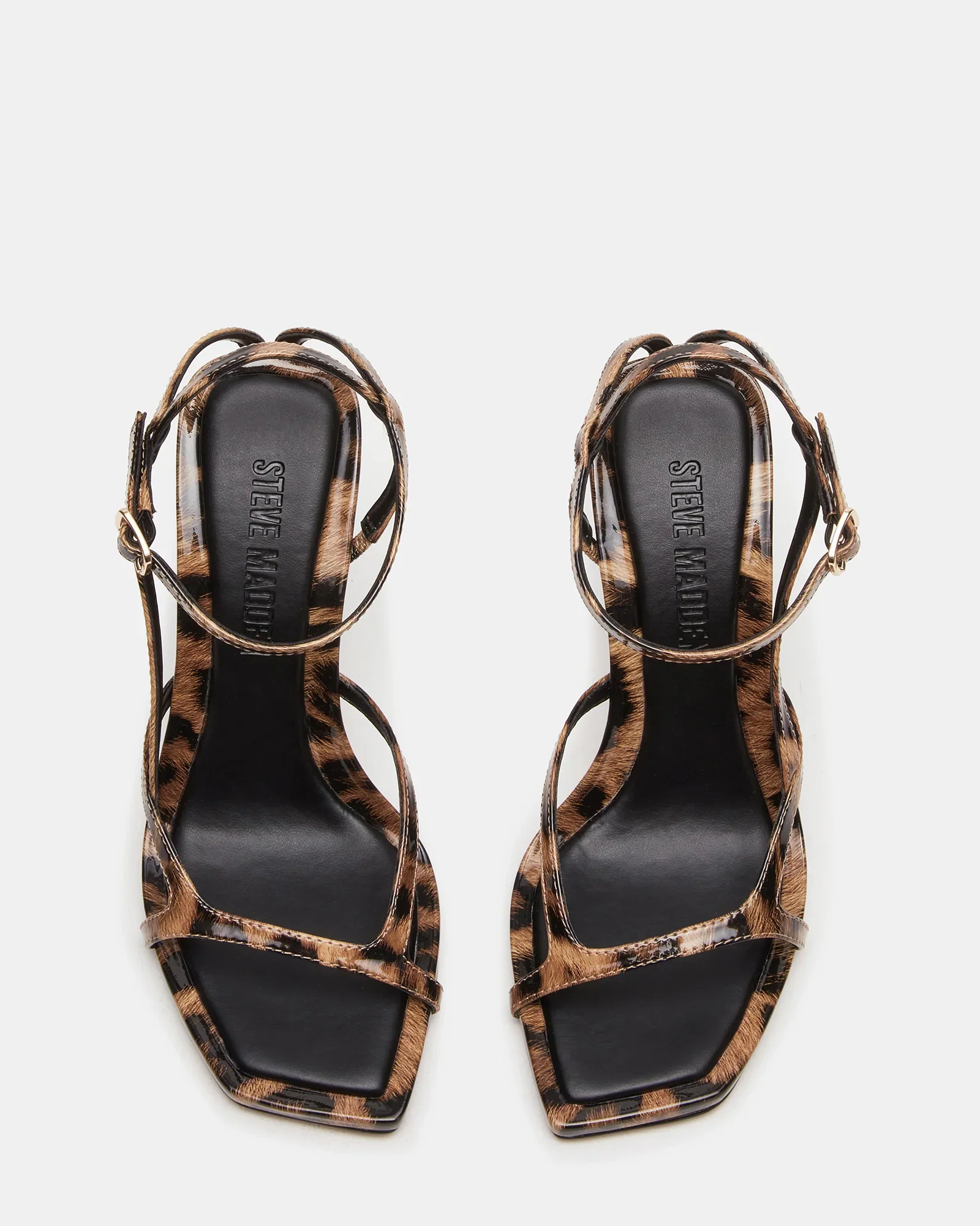 LEVIOSA LEOPARD 5 LEVIOSA LEOPARD