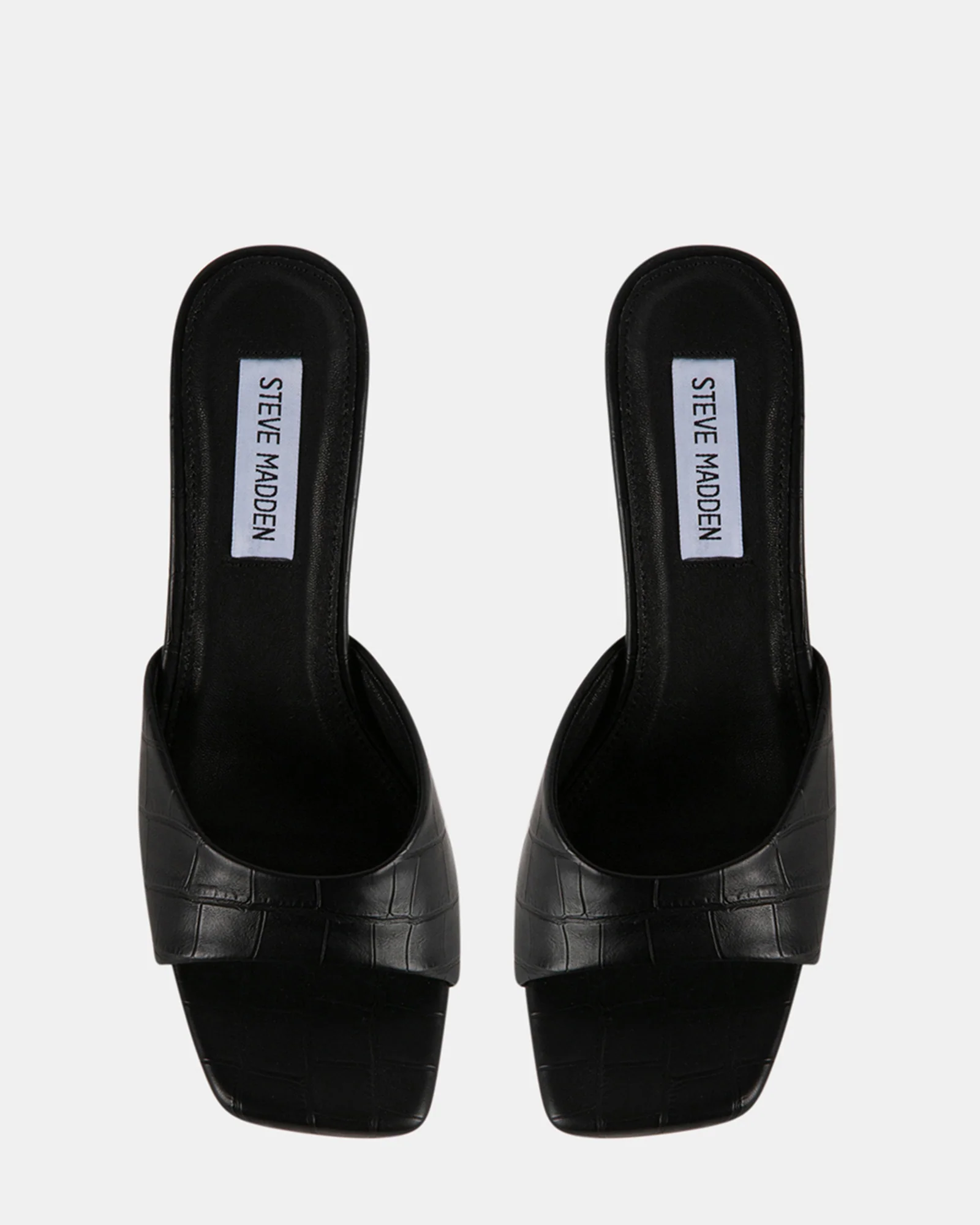 DANNA BLACK EXOTIC 7 DANNA BLACK EXOTIC